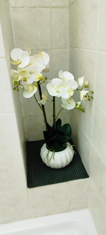 Epiro Home 罗马 外观 照片